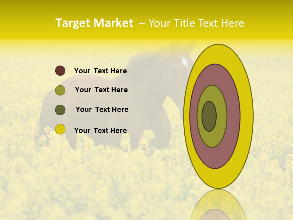 Horse In Flowers PowerPoint Template