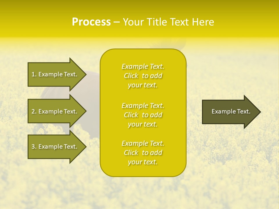 Horse In Flowers PowerPoint Template