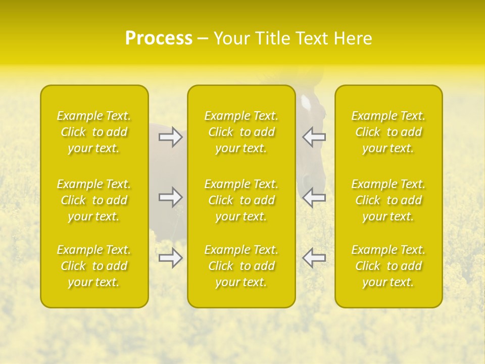 Horse In Flowers PowerPoint Template