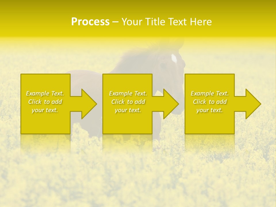 Horse In Flowers PowerPoint Template