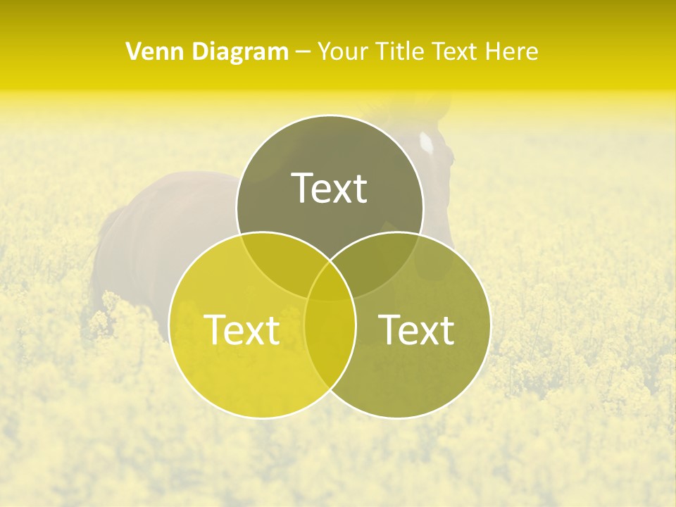 Horse In Flowers PowerPoint Template