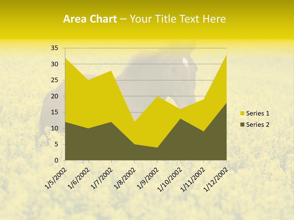 Horse In Flowers PowerPoint Template
