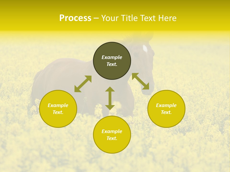 Horse In Flowers PowerPoint Template