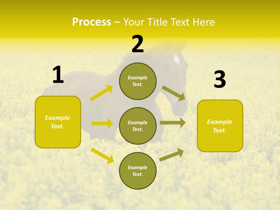 Horse In Flowers PowerPoint Template