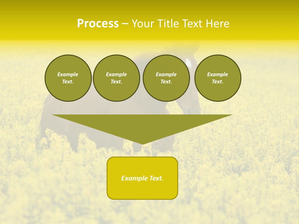 Horse In Flowers PowerPoint Template