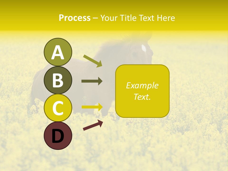 Horse In Flowers PowerPoint Template