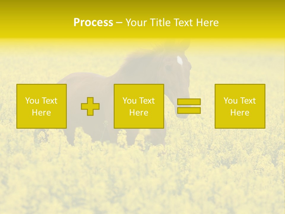 Horse In Flowers PowerPoint Template