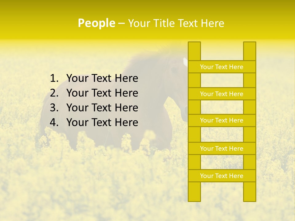 Horse In Flowers PowerPoint Template