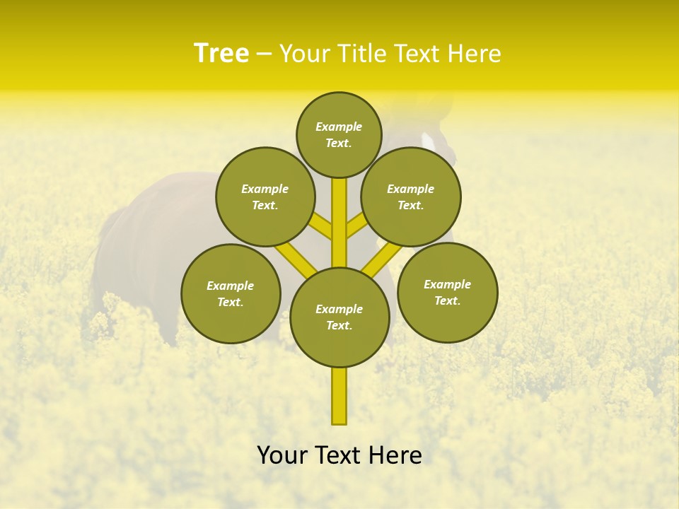 Horse In Flowers PowerPoint Template