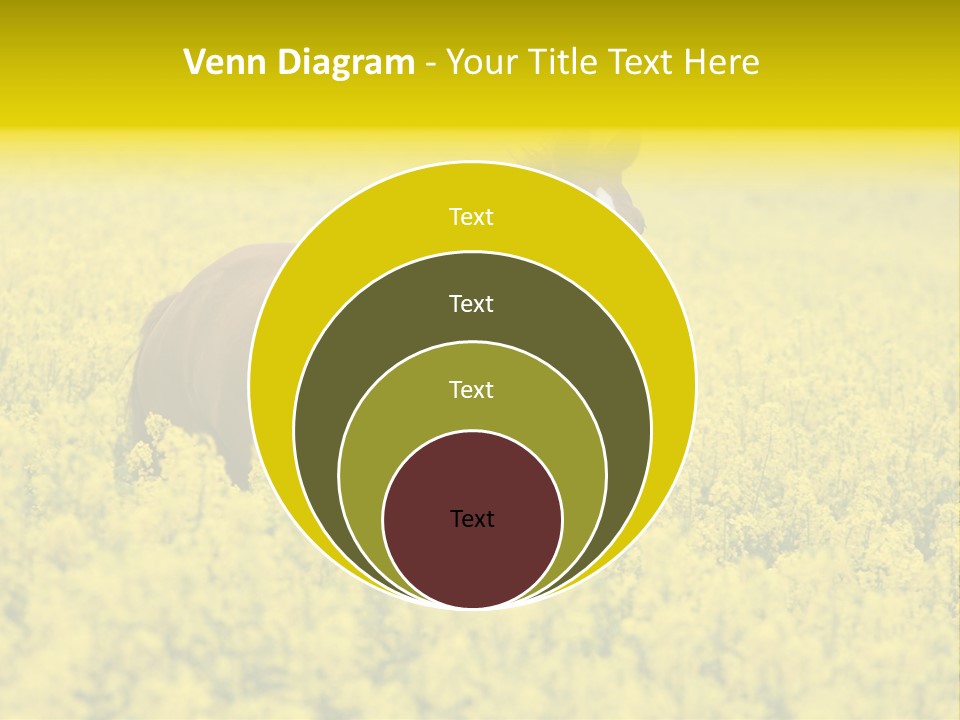 Horse In Flowers PowerPoint Template