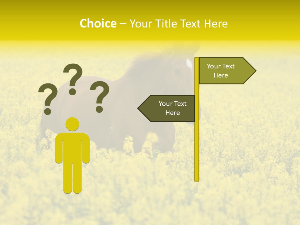 Horse In Flowers PowerPoint Template