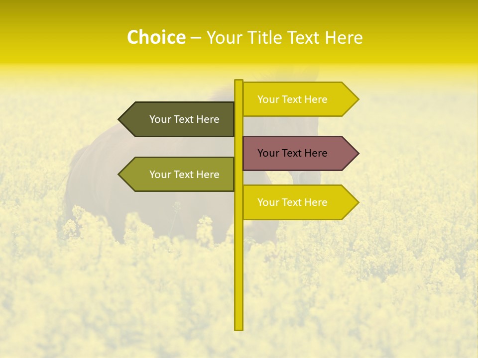 Horse In Flowers PowerPoint Template
