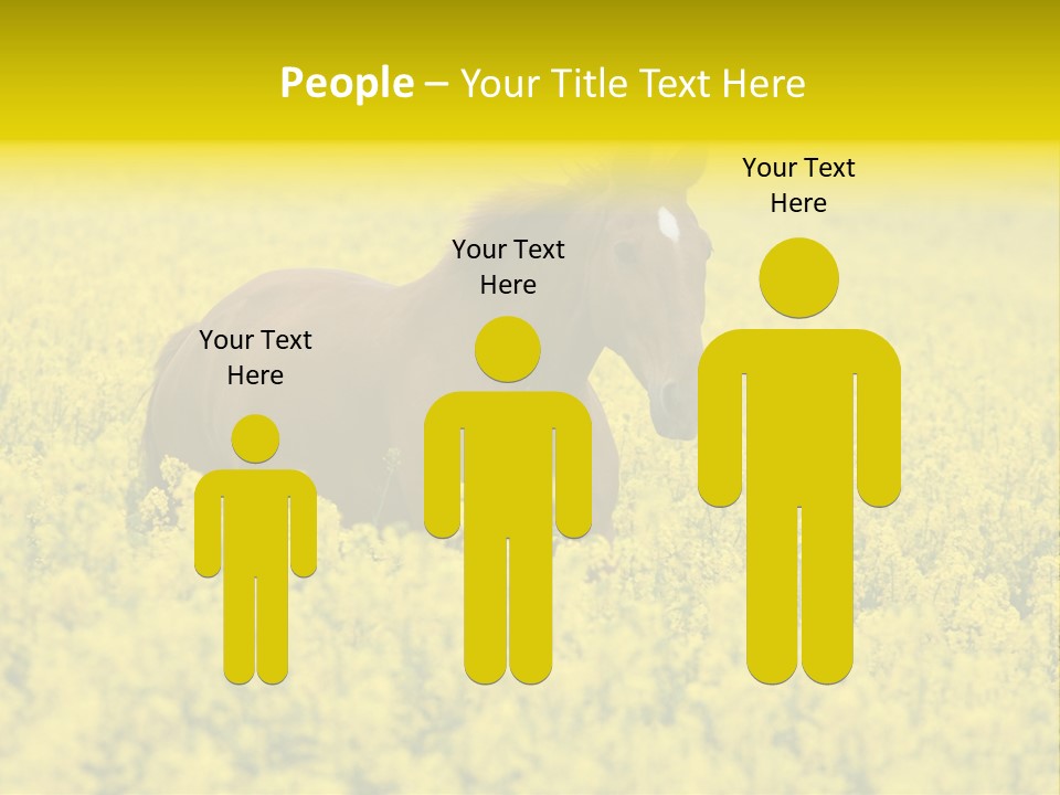 Horse In Flowers PowerPoint Template