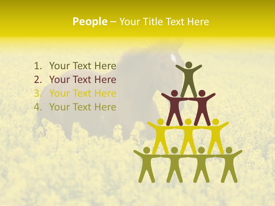 Horse In Flowers PowerPoint Template