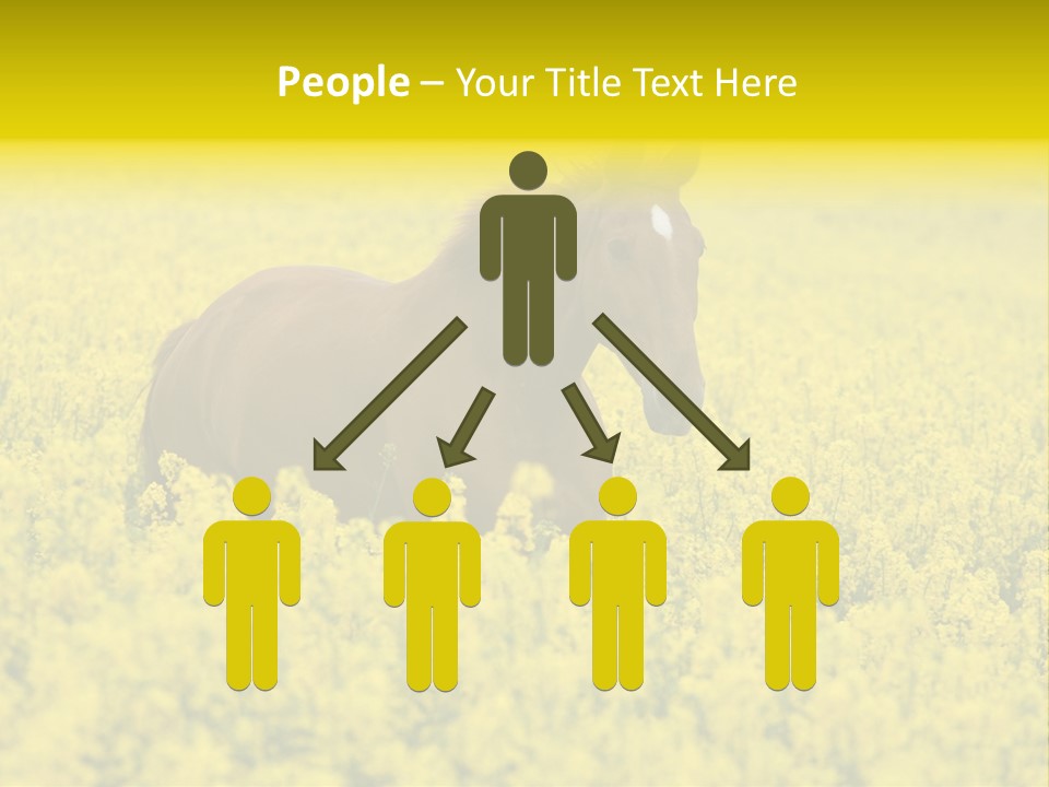 Horse In Flowers PowerPoint Template