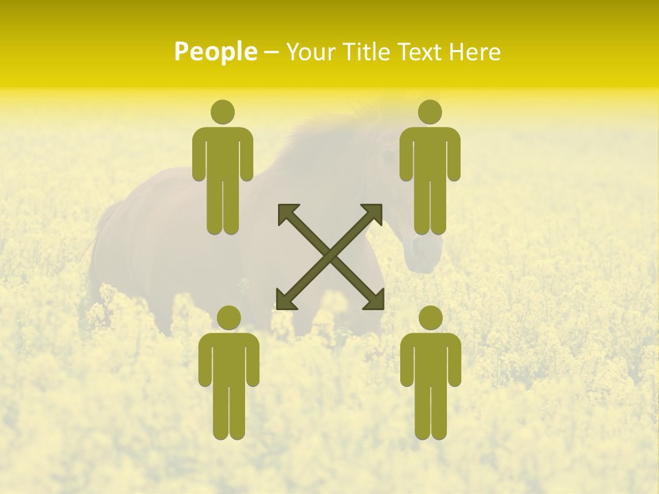 Horse In Flowers PowerPoint Template