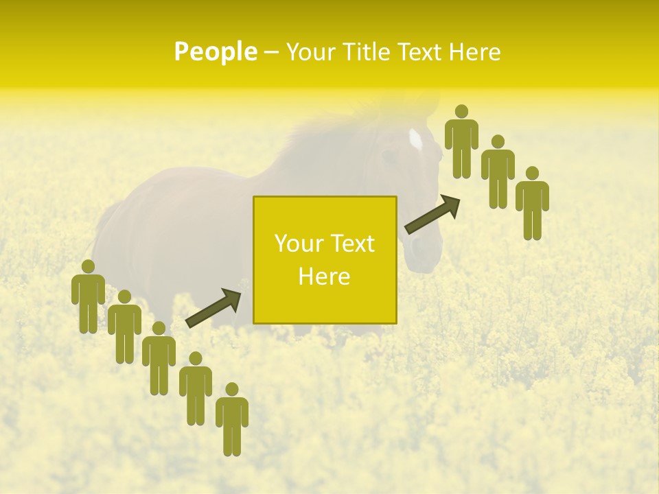 Horse In Flowers PowerPoint Template