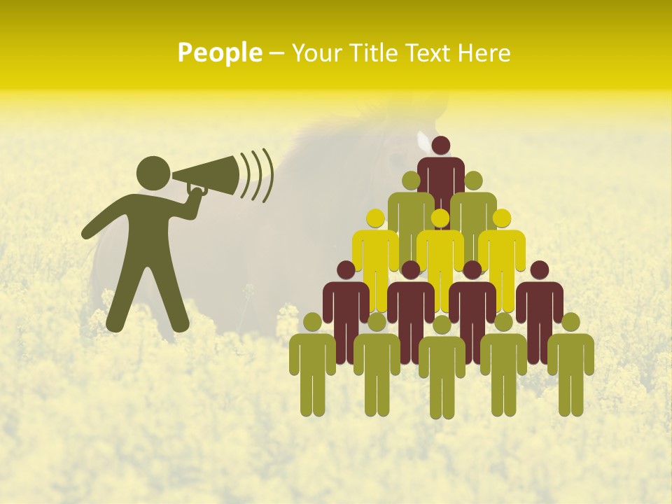 Horse In Flowers PowerPoint Template