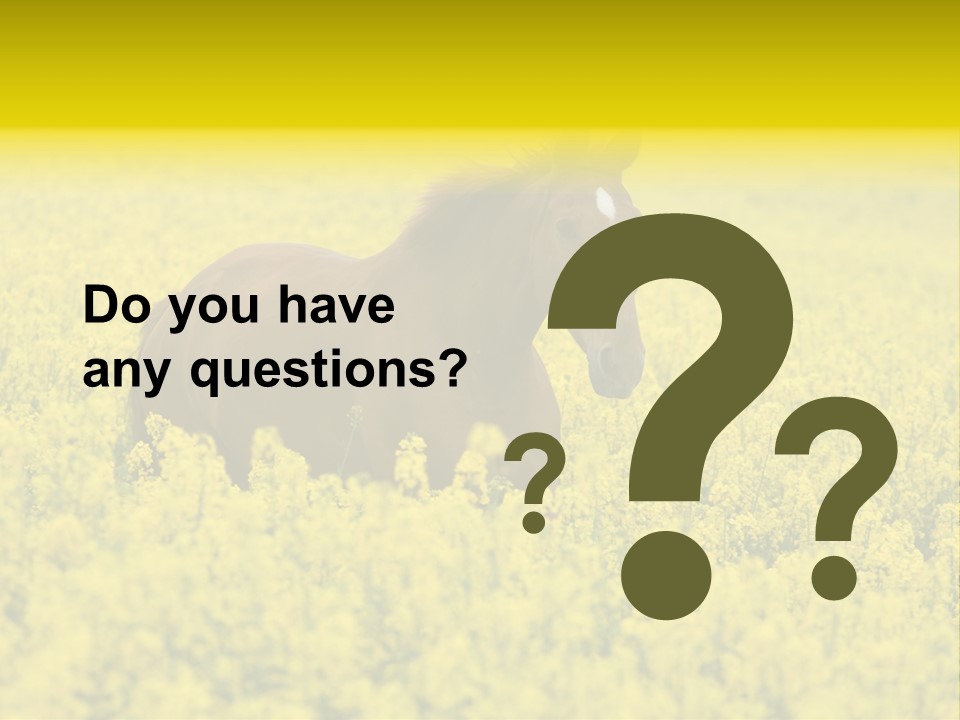 Horse In Flowers PowerPoint Template