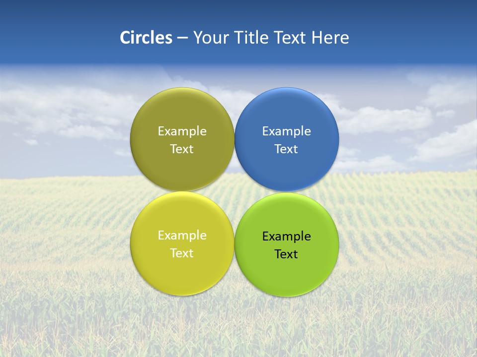 Corn Field PowerPoint Template