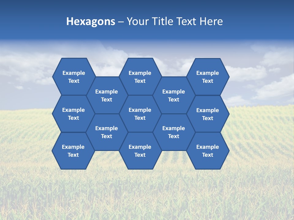 Corn Field PowerPoint Template