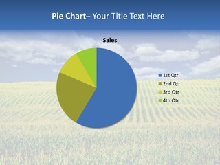 Corn Field PowerPoint Template