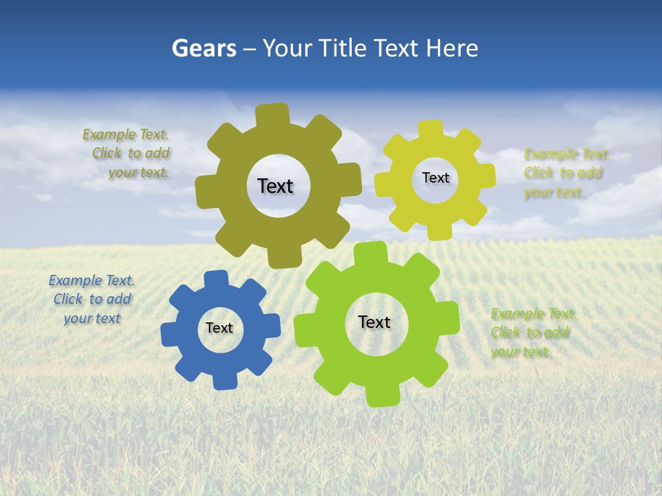 Corn Field PowerPoint Template