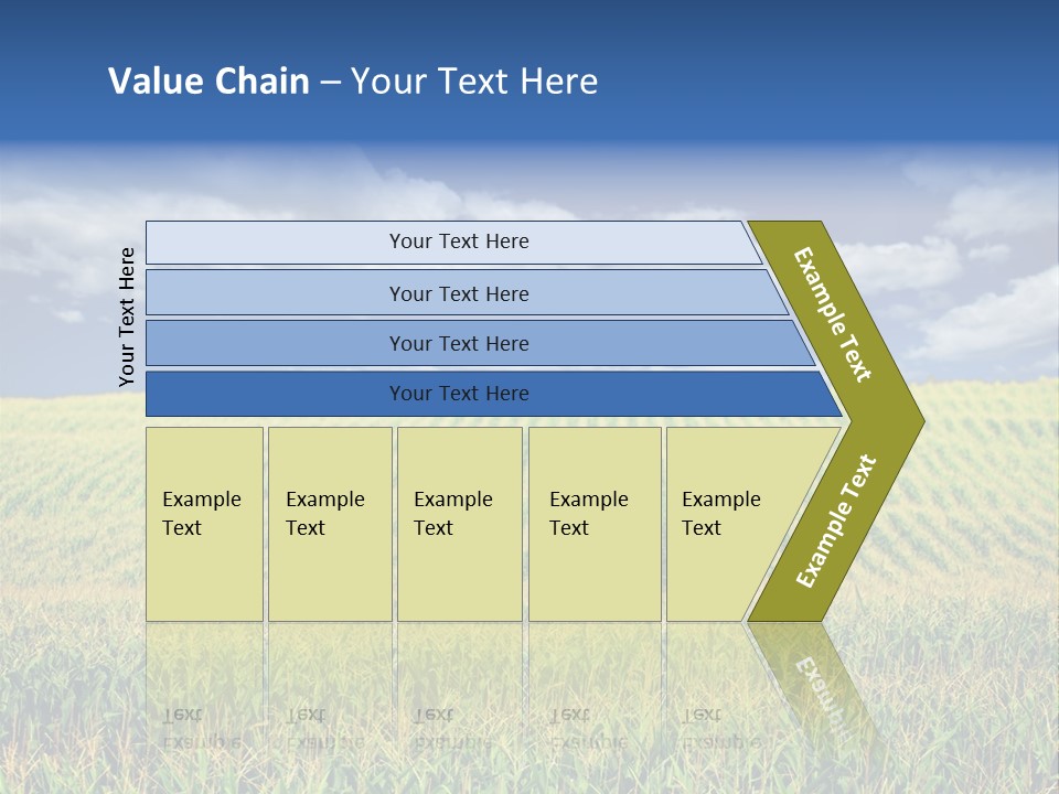 Corn Field PowerPoint Template