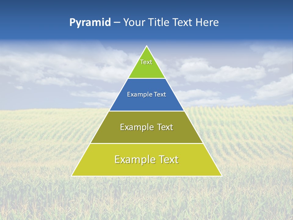 Corn Field PowerPoint Template