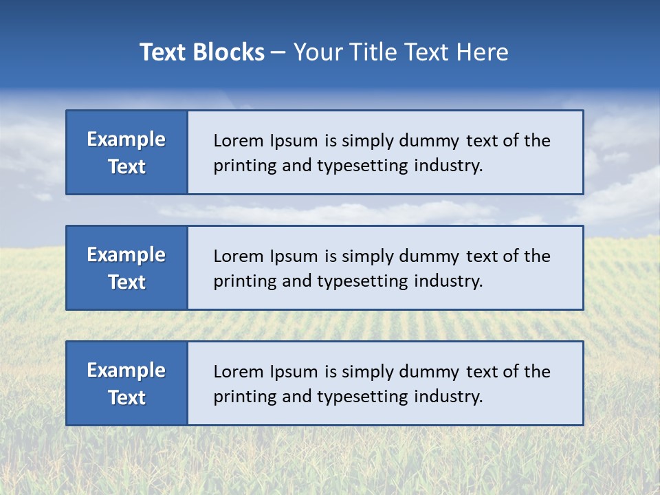 Corn Field PowerPoint Template