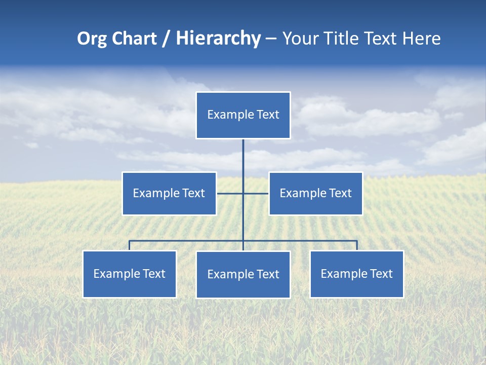 Corn Field PowerPoint Template