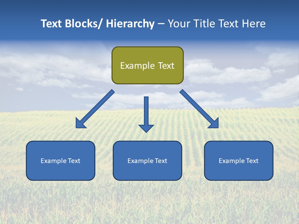 Corn Field PowerPoint Template