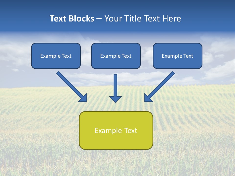 Corn Field PowerPoint Template