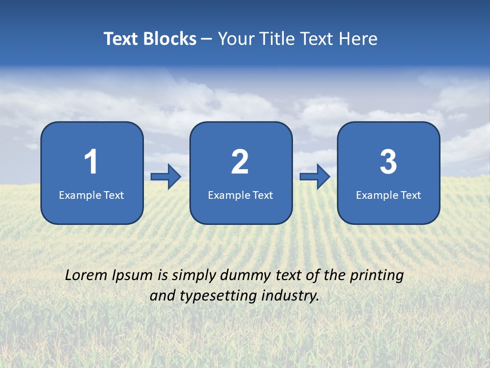 Corn Field PowerPoint Template