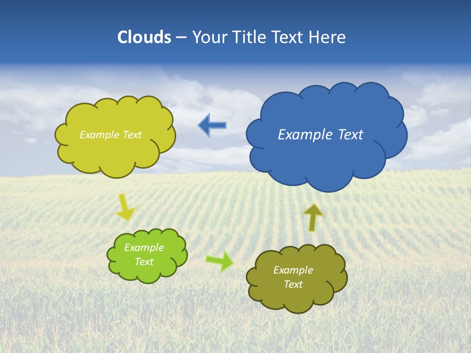 Corn Field PowerPoint Template