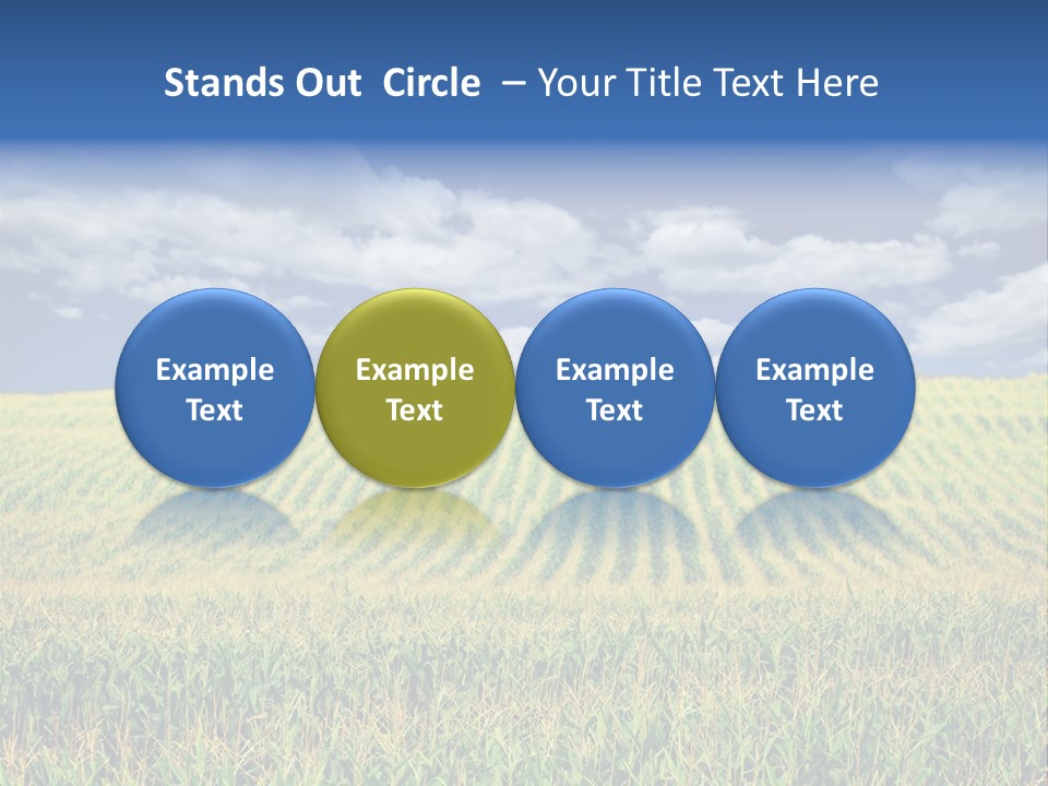 Corn Field PowerPoint Template
