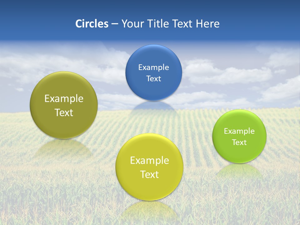 Corn Field PowerPoint Template