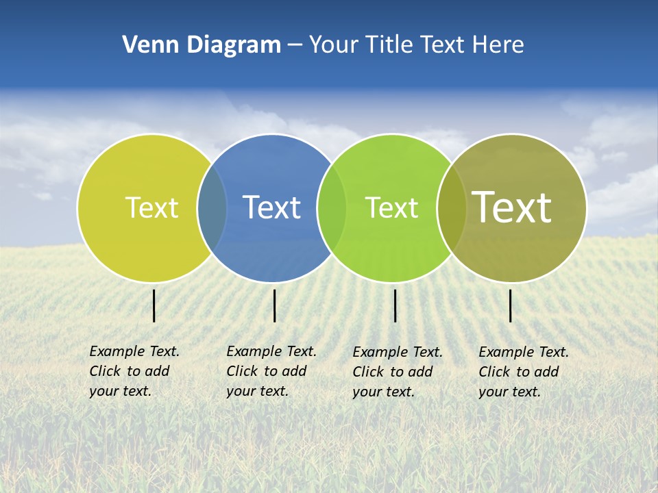Corn Field PowerPoint Template