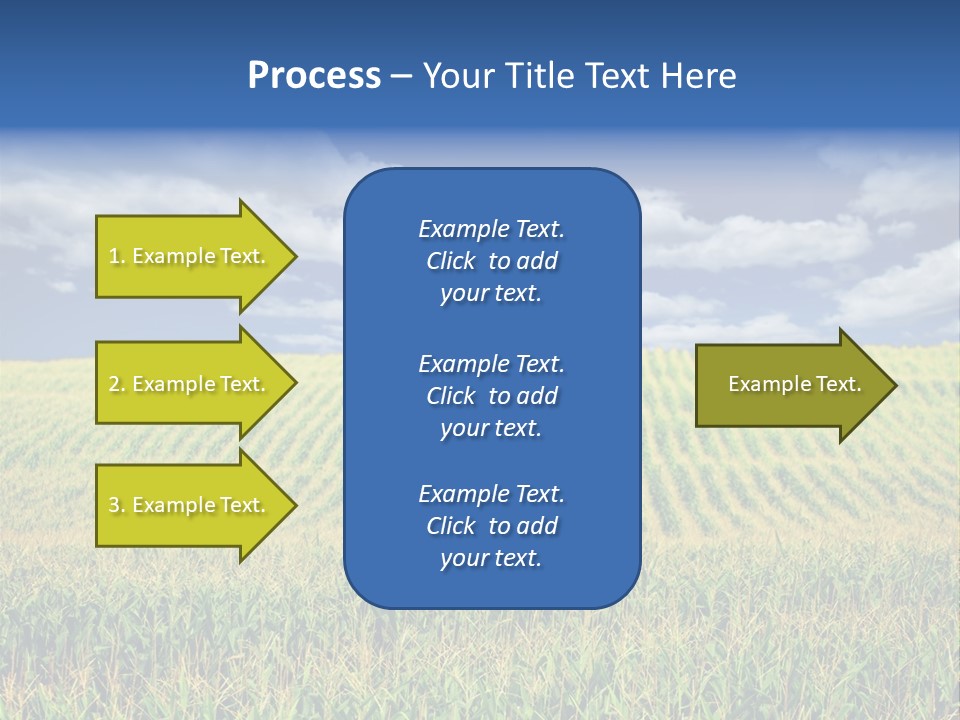 Corn Field PowerPoint Template