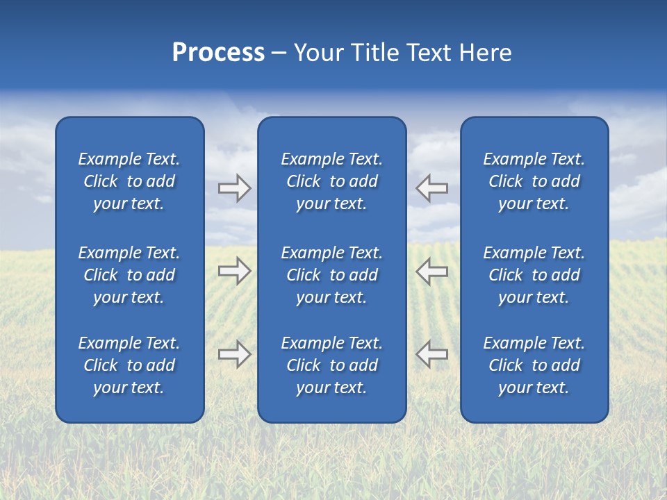 Corn Field PowerPoint Template