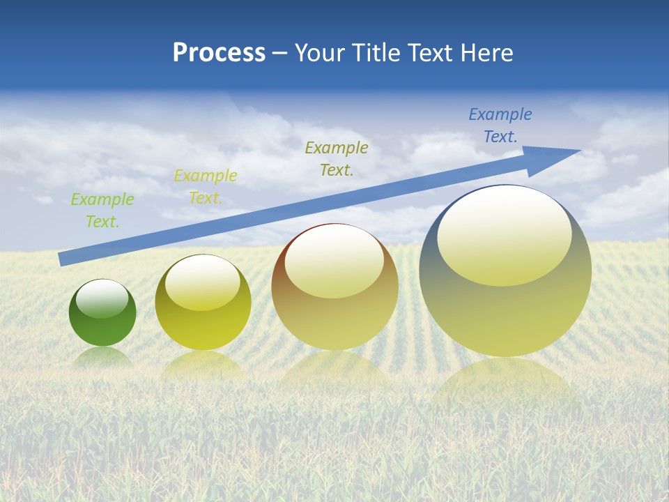 Corn Field PowerPoint Template