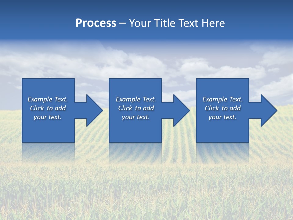 Corn Field PowerPoint Template