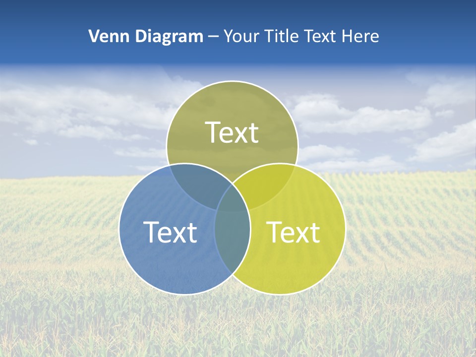 Corn Field PowerPoint Template