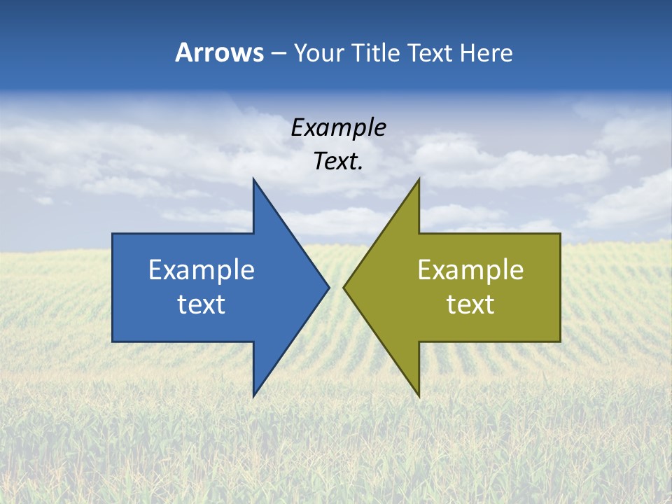 Corn Field PowerPoint Template