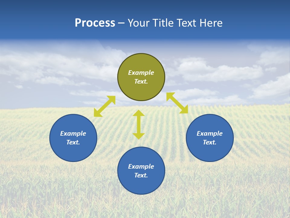 Corn Field PowerPoint Template