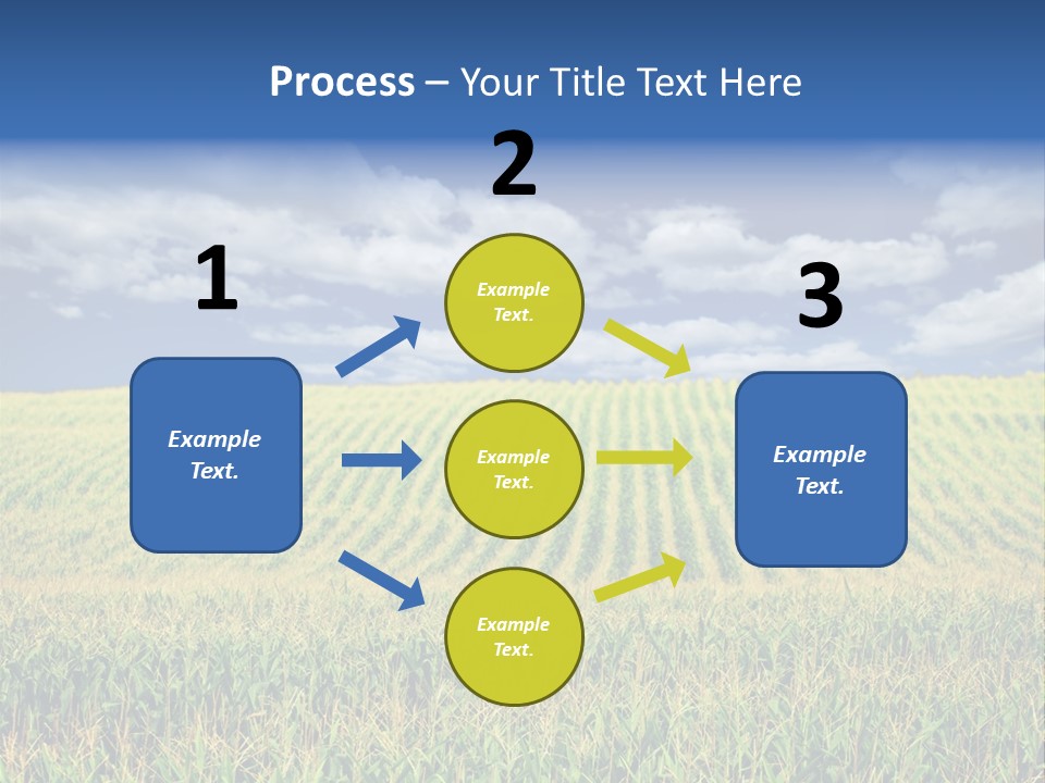 Corn Field PowerPoint Template