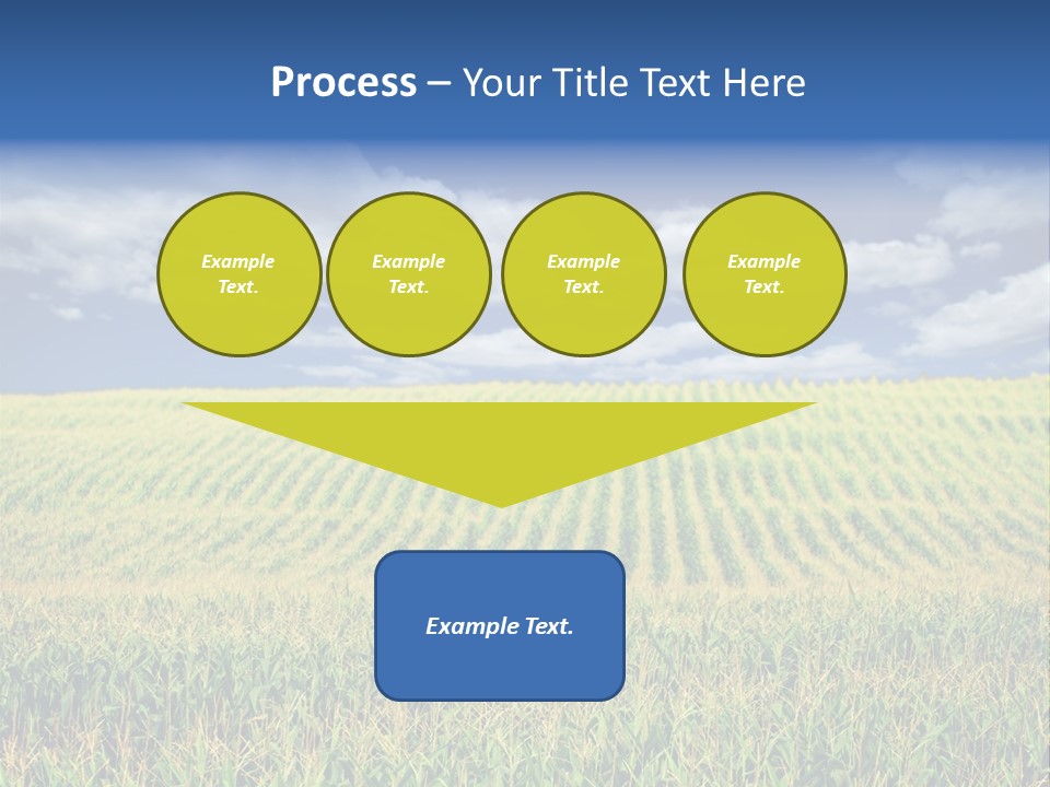 Corn Field PowerPoint Template