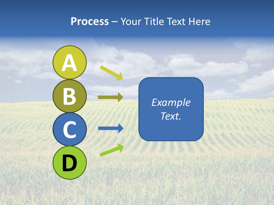 Corn Field PowerPoint Template
