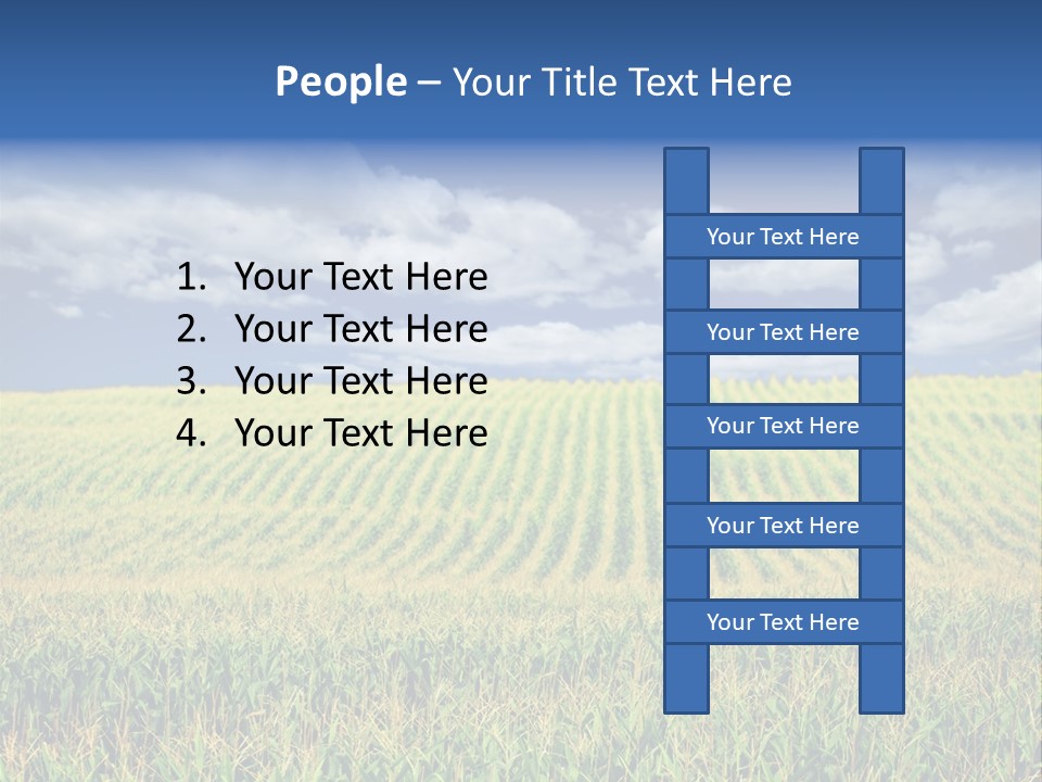 Corn Field PowerPoint Template