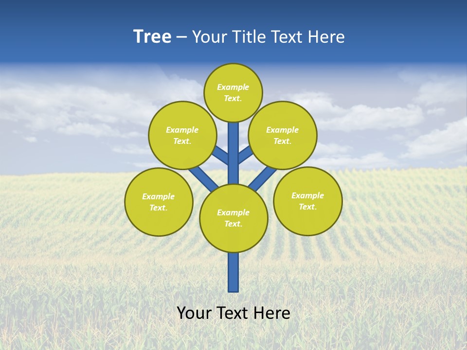 Corn Field PowerPoint Template